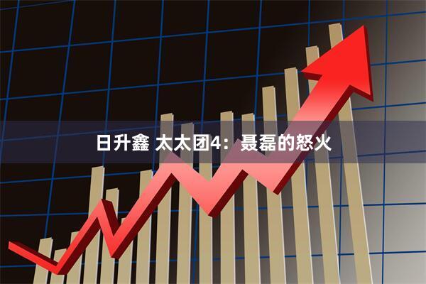日升鑫 太太团4：聂磊的怒火