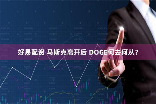 好易配资 马斯克离开后 DOGE何去何从？