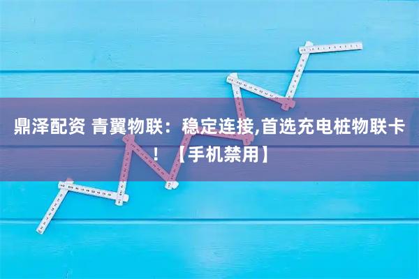 鼎泽配资 青翼物联：稳定连接,首选充电桩物联卡！【手机禁用】